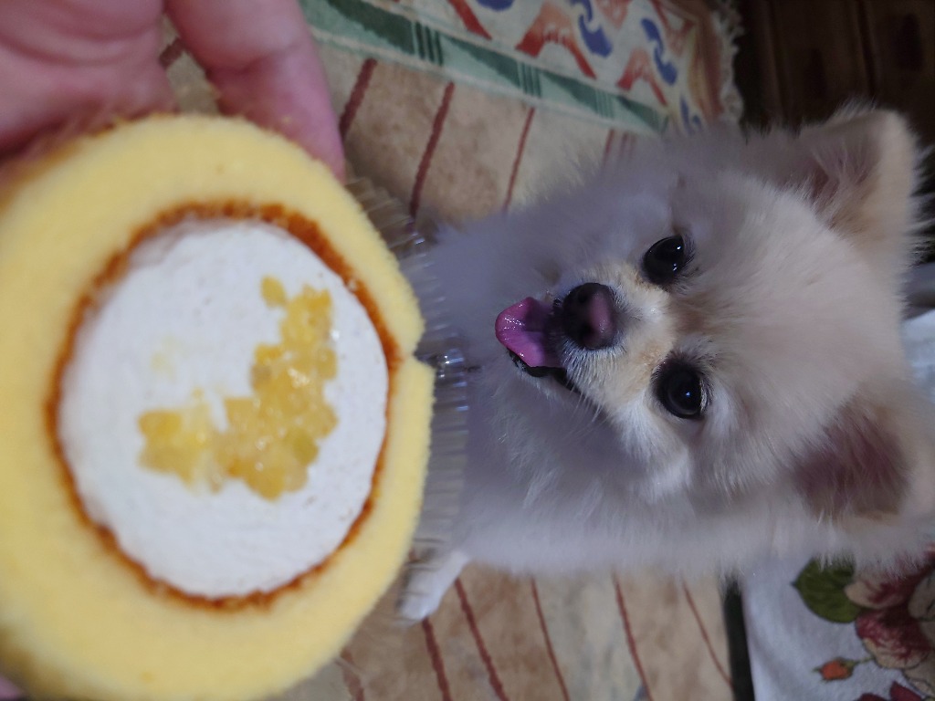 6歳になりました