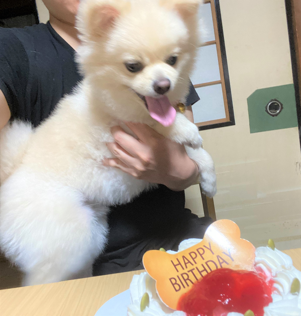 3歳になりました