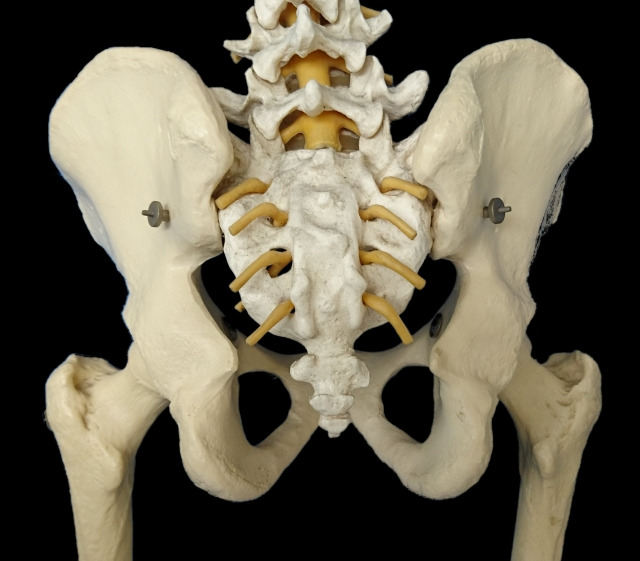 寒さと坐骨神経痛